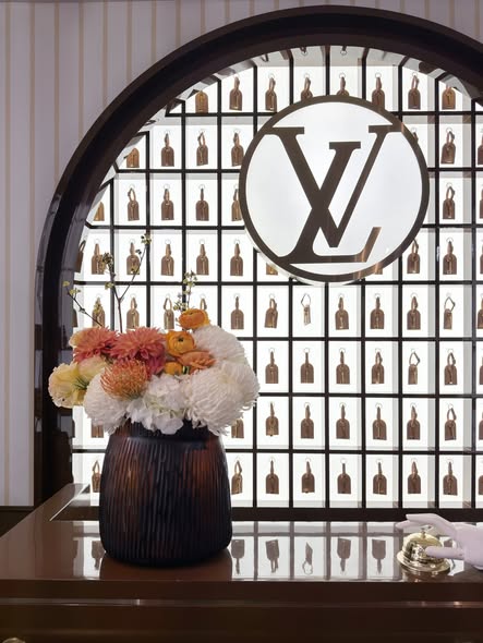 644367372 1514987110632906 1363300852191235503 n