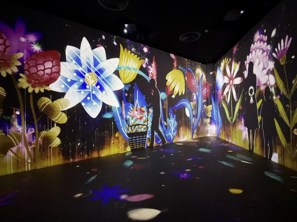 650883285 10238886074024699 4862925684810374316 n