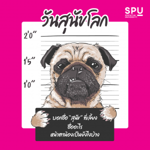 Read more about the article รีวิวน้องหมา ที่เลี้ยงอยู่