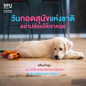 Read more about the article วันกอดสุนัขแห่งชาติ