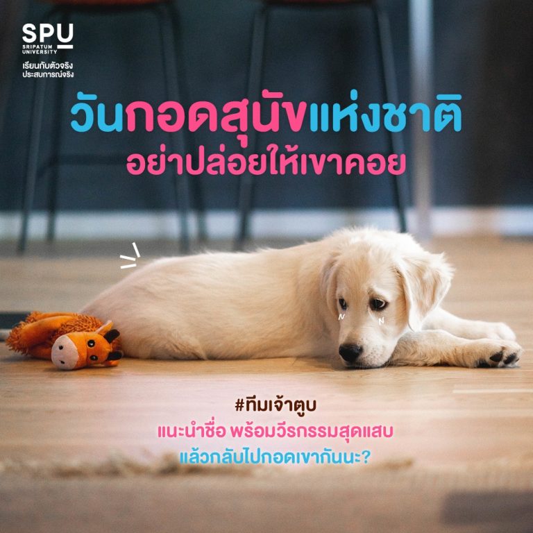 Read more about the article วันกอดสุนัขแห่งชาติ