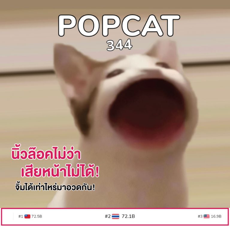 Read more about the article POP CAT