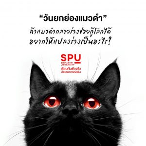 Read more about the article ถ้าแมวดำแปลงร่างได้ ช่วยกู้โลกได้ อยากให้แปลงร่างเป็นอะไร ?