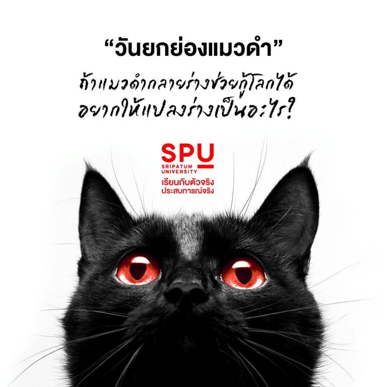 Read more about the article ถ้าแมวดำแปลงร่างได้ ช่วยกู้โลกได้ อยากให้แปลงร่างเป็นอะไร ?