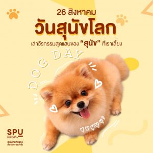 Read more about the article มาเล่าวีรกรรมสุดป่วนของเจ้าตัวแสบกัน!