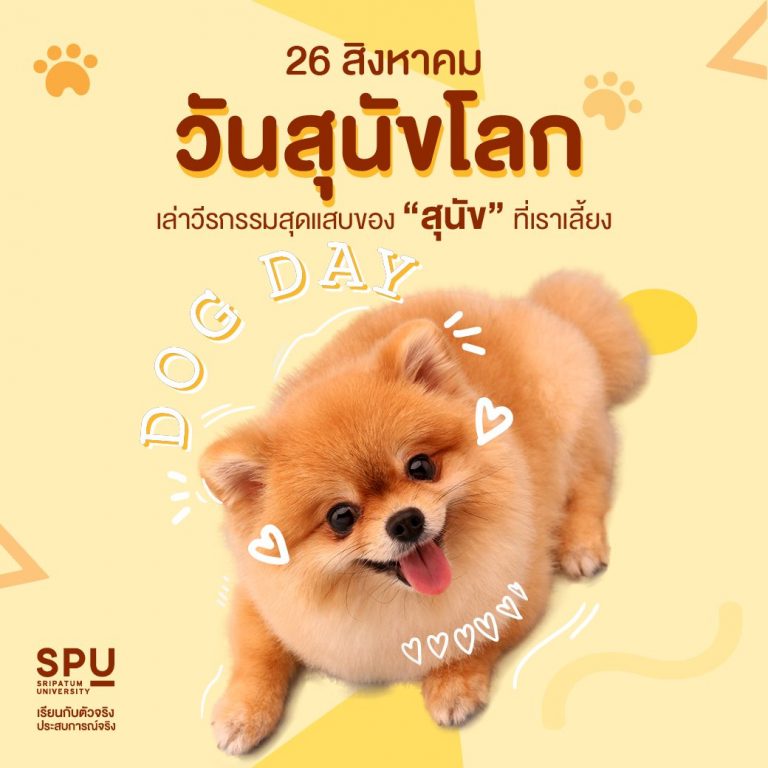 Read more about the article มาเล่าวีรกรรมสุดป่วนของเจ้าตัวแสบกัน!