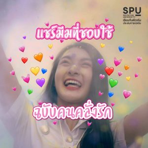 Read more about the article ขอคนละมีมสำหรับชาวคลั่งรัก