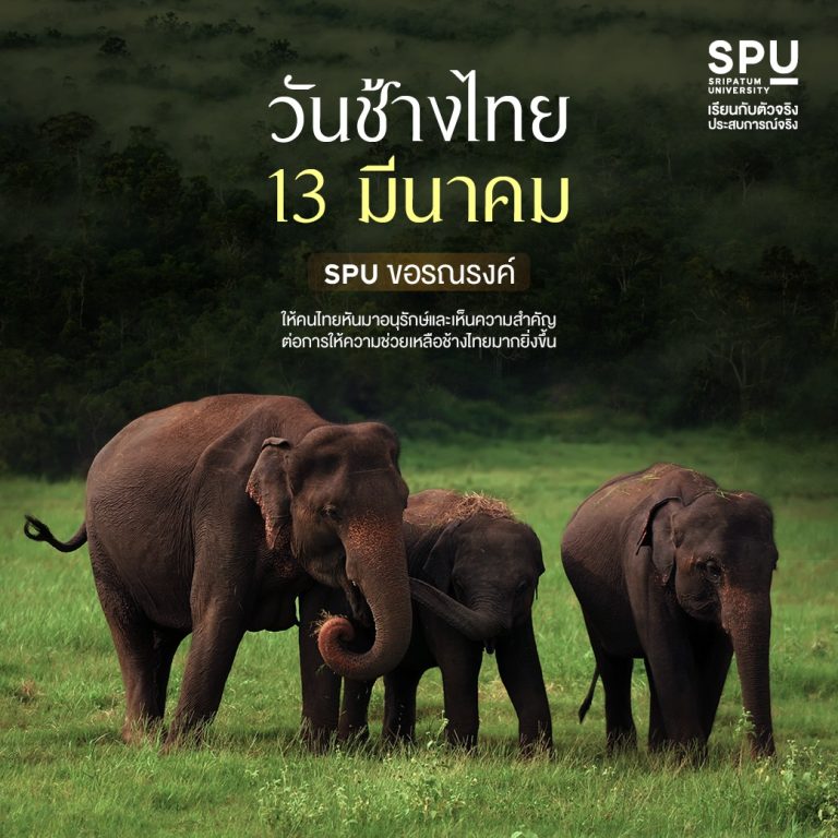 Read more about the article 13 มีนาคม วันช้างไทย
