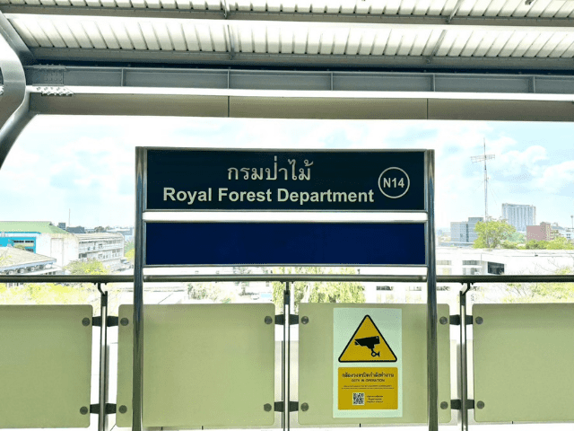 N14 กรมป่าไม้